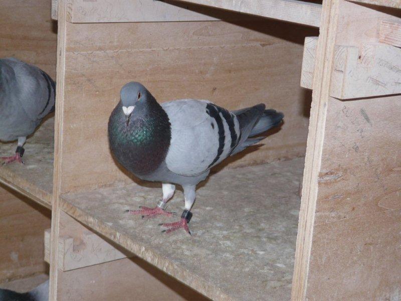 2009710 10 15 Nat Marseille