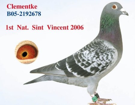 clementkte 1 nat barcelone 2006