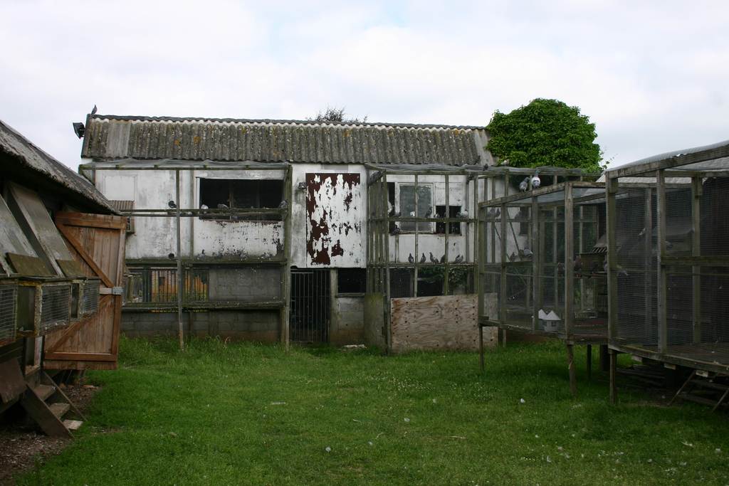 eric herbots colombier reproducteurs