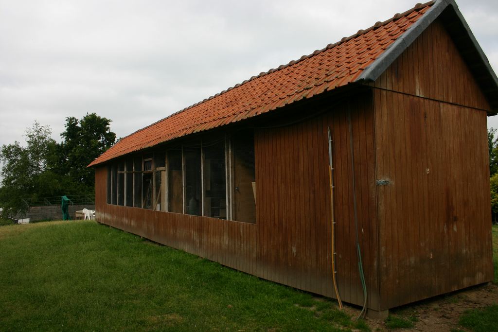 eric herbots colombier yearling