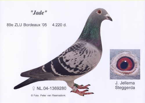 jade mere 1 int barcelone