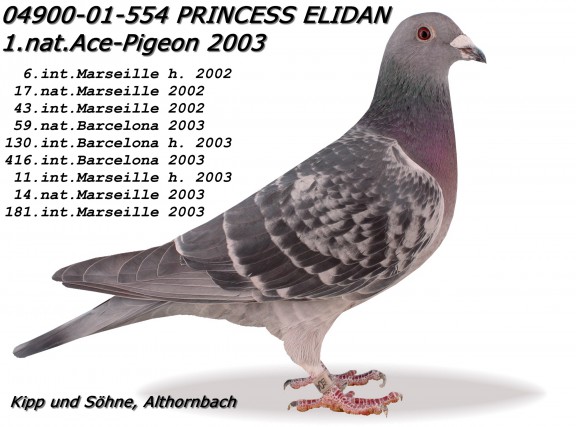 princess elidan 1 as pigeon 2003