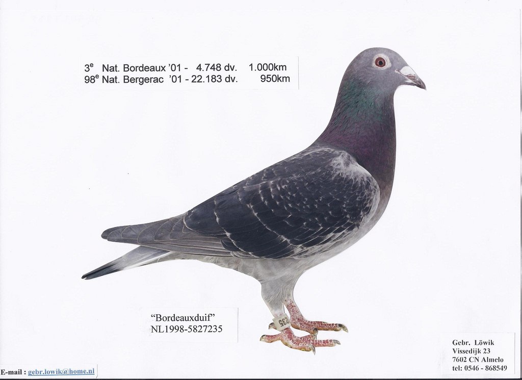 3 nat bordeaux 2001