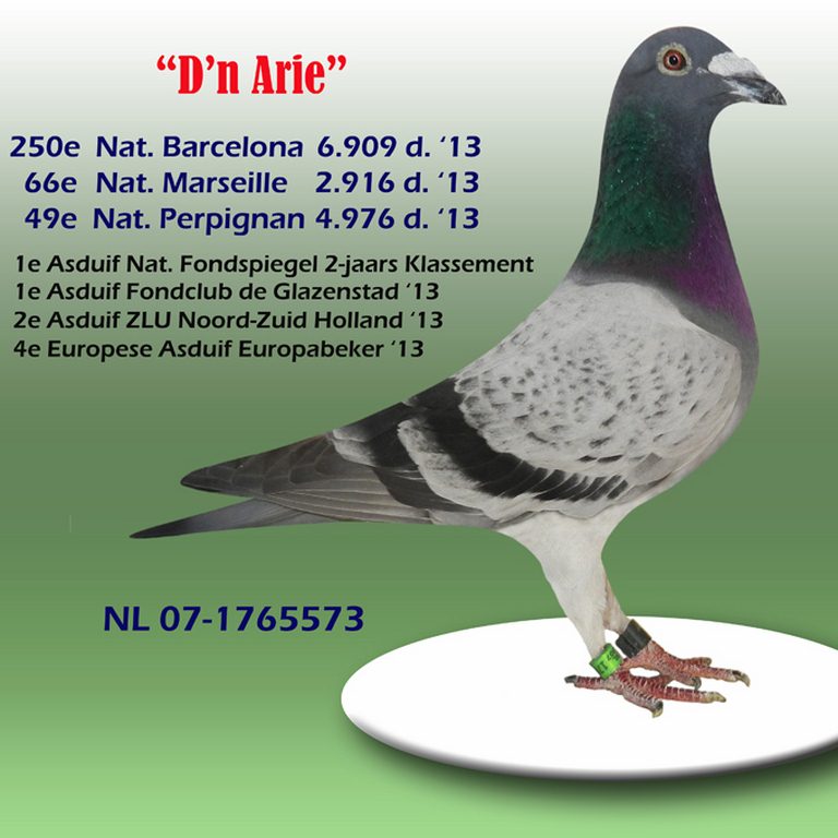 Dn Arie 2 As P ZLU 2013