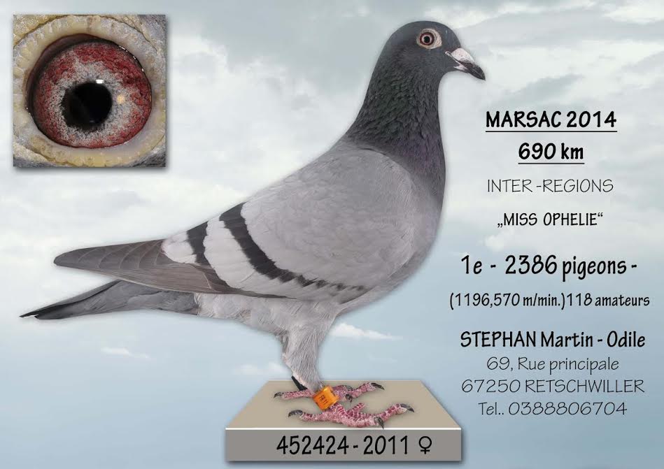 1 marsac stephan