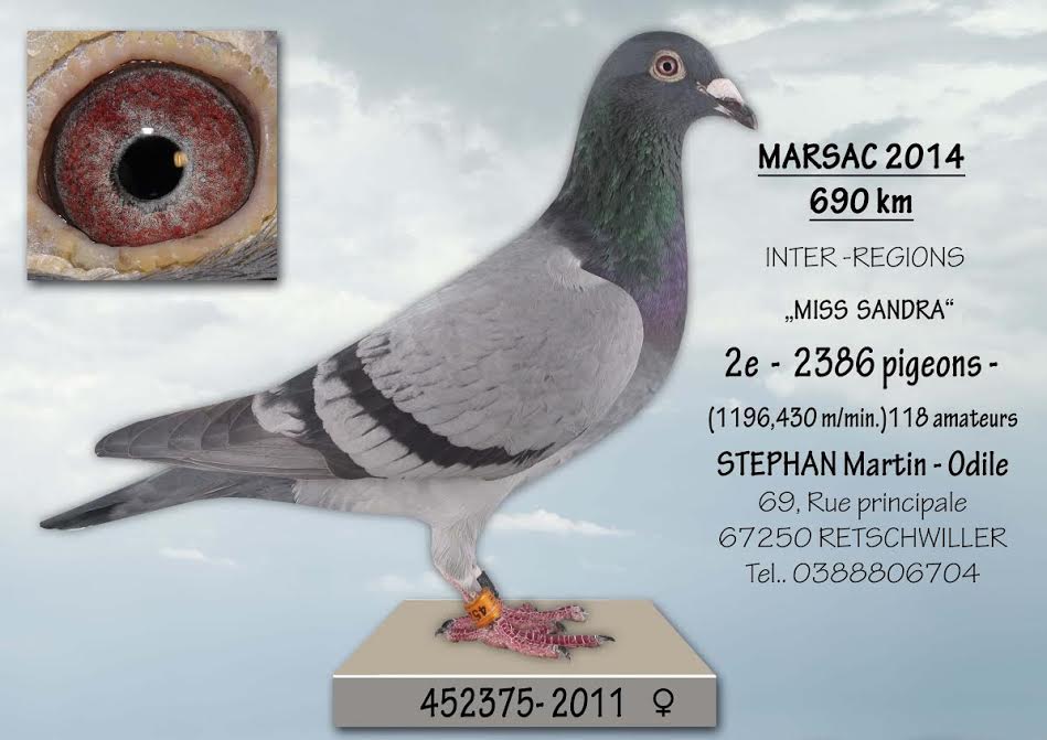 2 marsac stephan