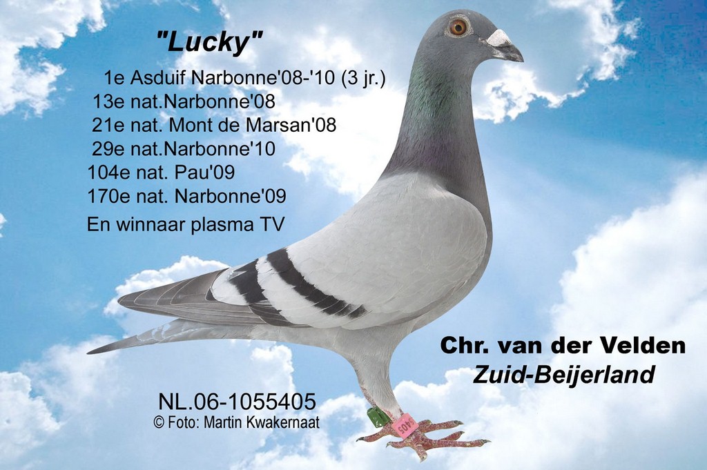 Lucky