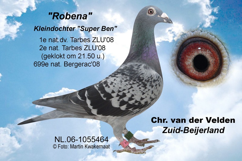 Robena