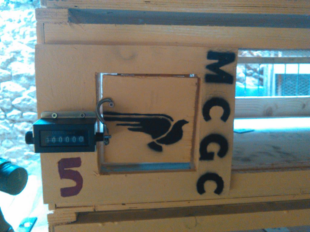 IMG 20160712 090905